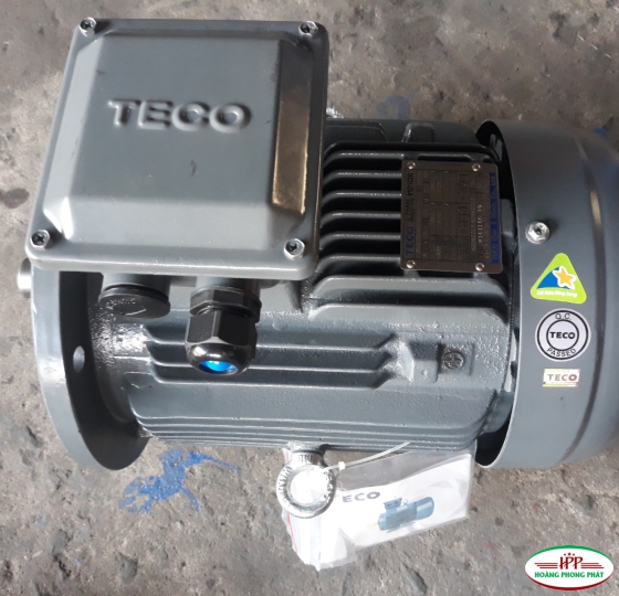 ĐỘNG CƠ ĐIỆN TECO