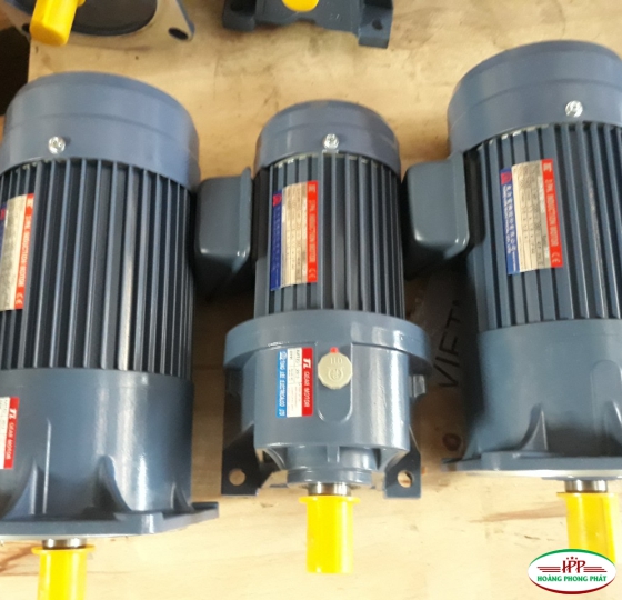 MOTOR GIẢM TỐC TUNGLEE-TAIWAN